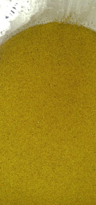 Жоңышқа тұқымы магниттелген