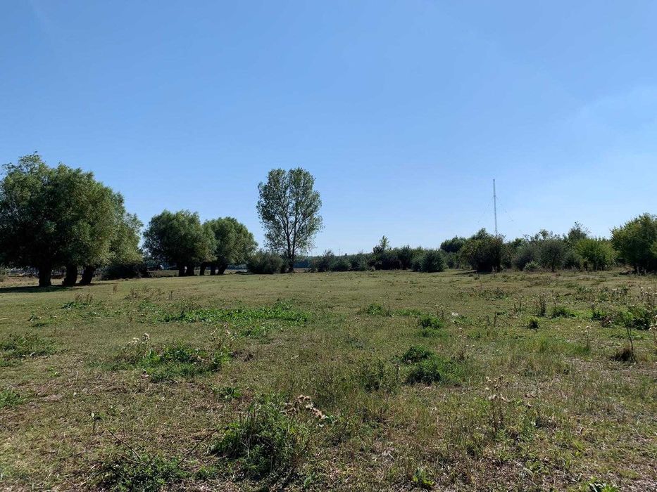 Vand / Schimb Teren Nufaru - Ilganii de Jos - 6254mp cu utilitati si deschidere la Dunare | 10km de Tulcea ( Delta Dunarii)