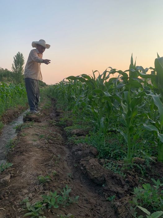 Фазенда в предгориах Казгуртских гор