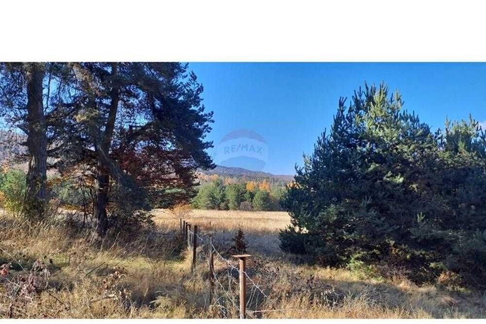 Продава се Парцел в Батак - 9309 кв.м за 2296 €/кв.м - Снимка #23