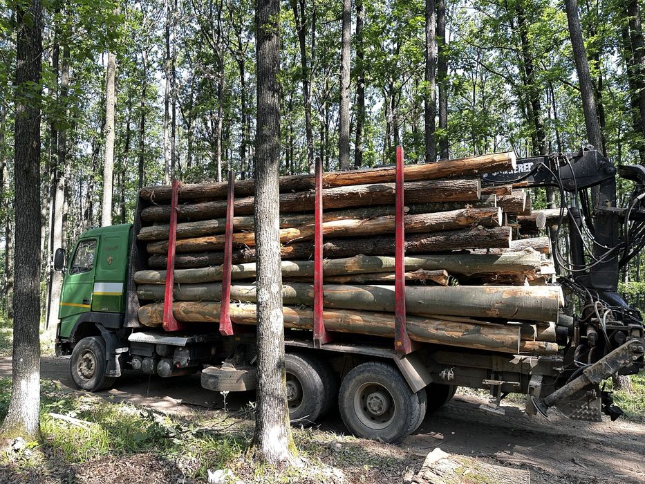 Vând lemn de foc (Ofer și transport)
