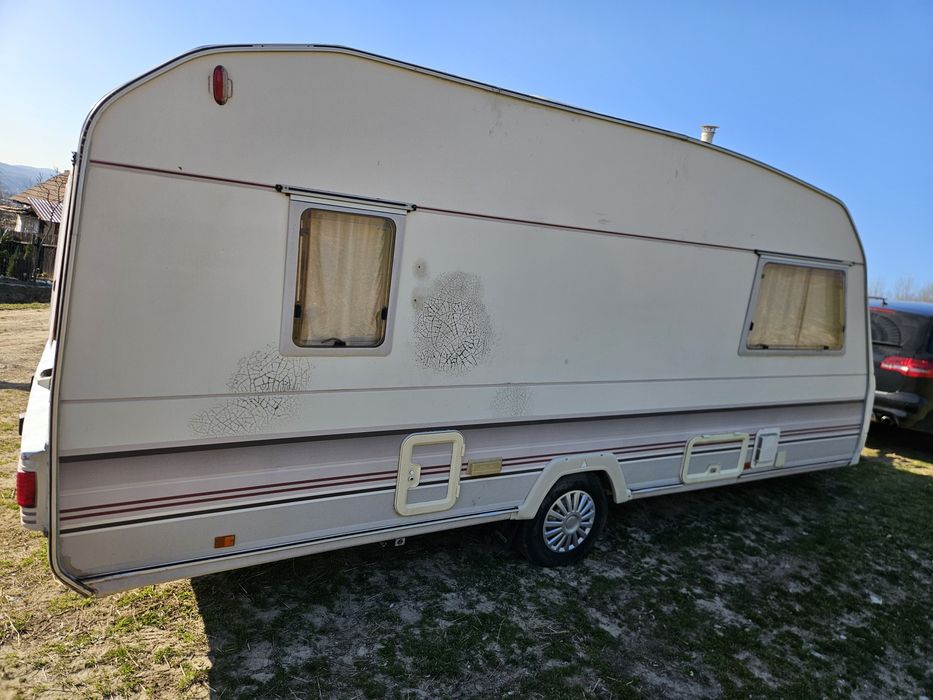 Rulota inmatriculata RO