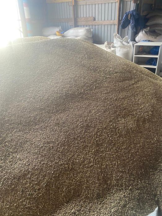 Бидай пшеница 110тг