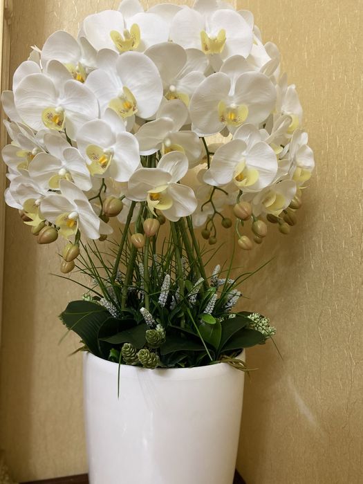 Dekorativ  oq orxideya guli