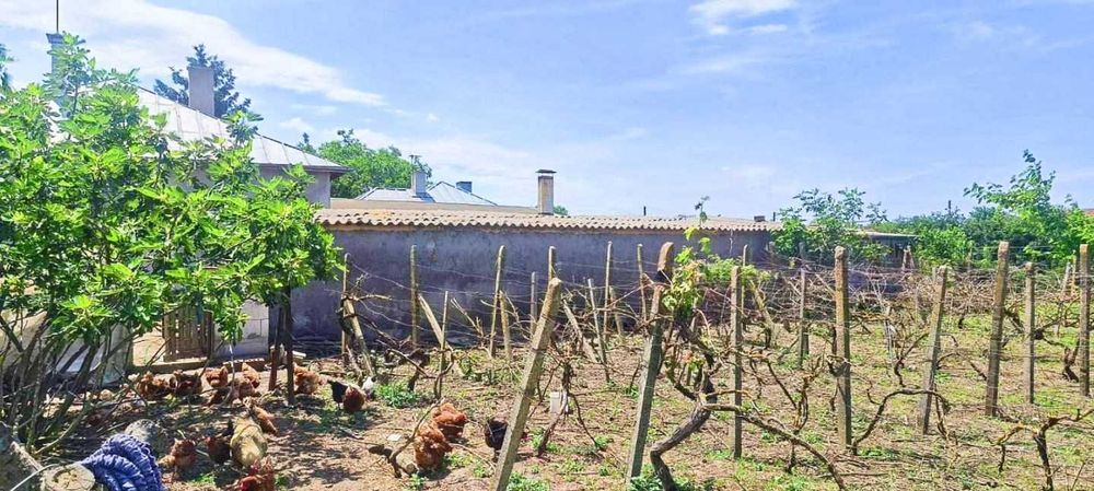 Продава се Къща в с. Могилище, Област Добрич - 60 кв.м за 1084 €/кв.м - Снимка #8