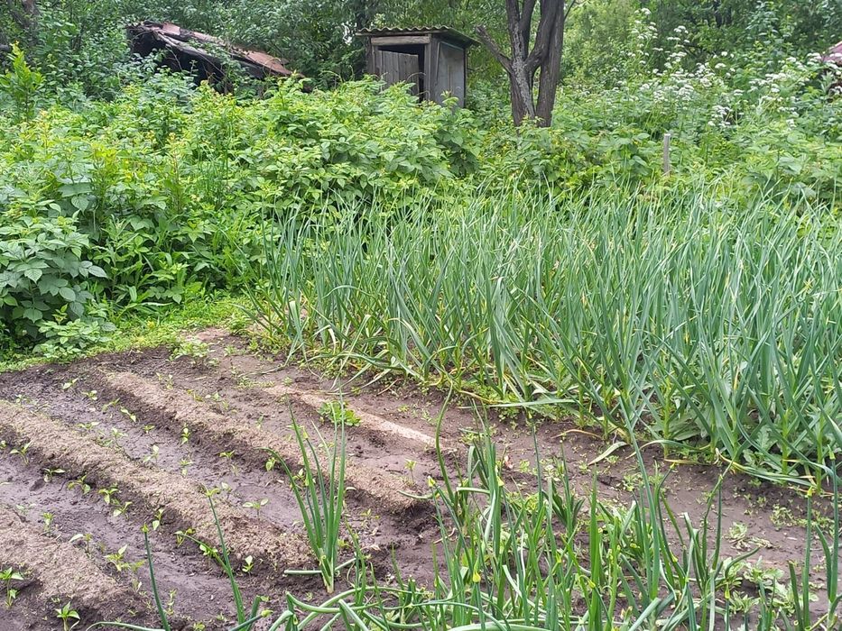 Продам дачу в г.Текели