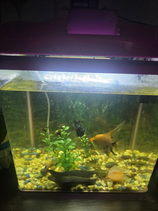 Продам. аквариум