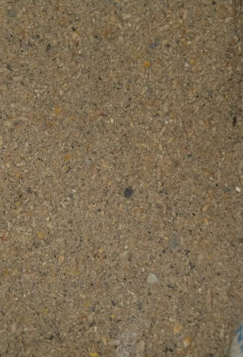 Прикормка для рыбалки