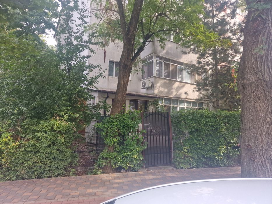 Garsoniera deosebita