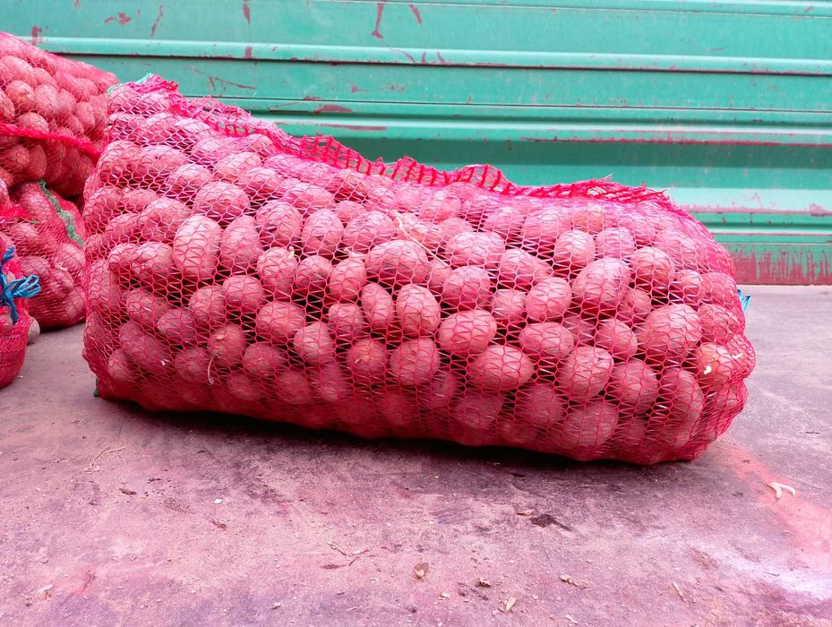 Ceapa cartofi consum sí samanta