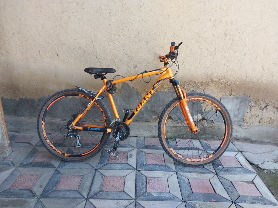 Giant rincon disc 2024