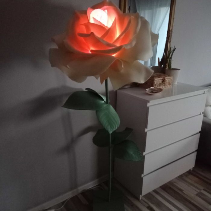 Лампион  Роза, Хортензия.