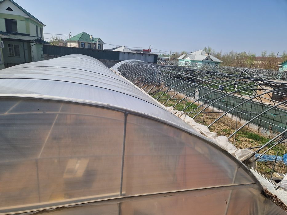 Теплица сатылады.