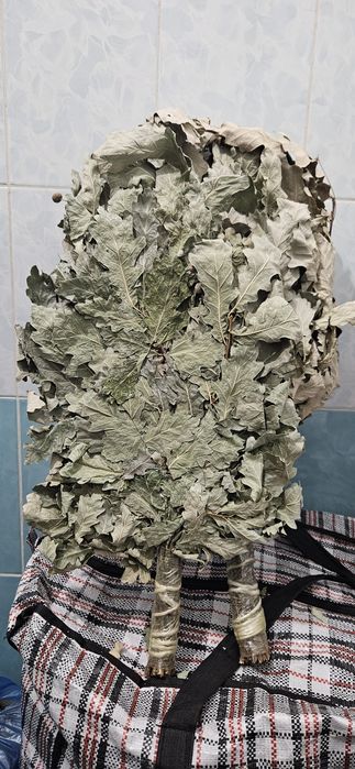 Дубовые веники для бани