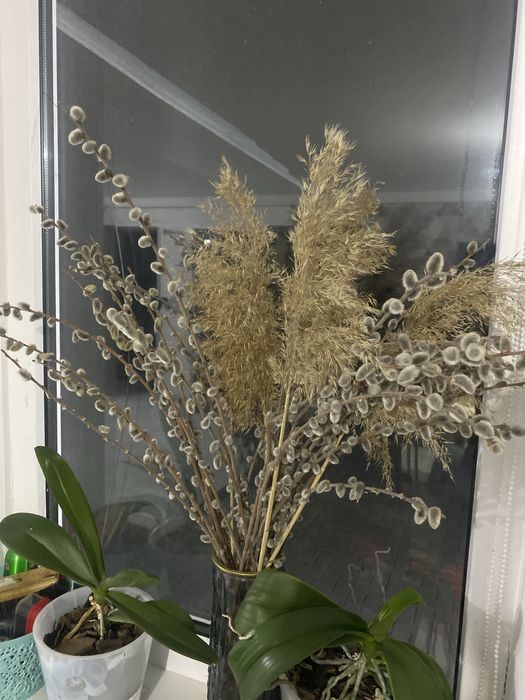 Цветы верба букеты