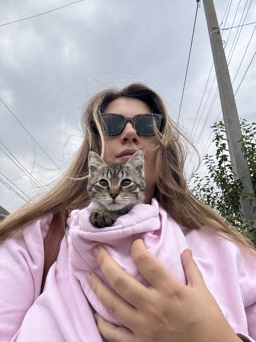 Отдам котенка в добрые руки