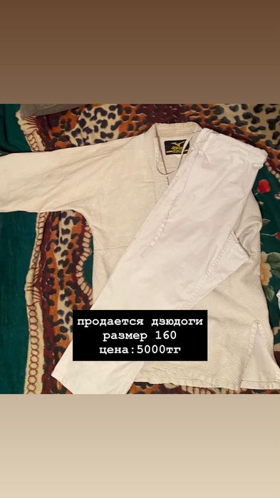 Дзюдоги от Чемпионов