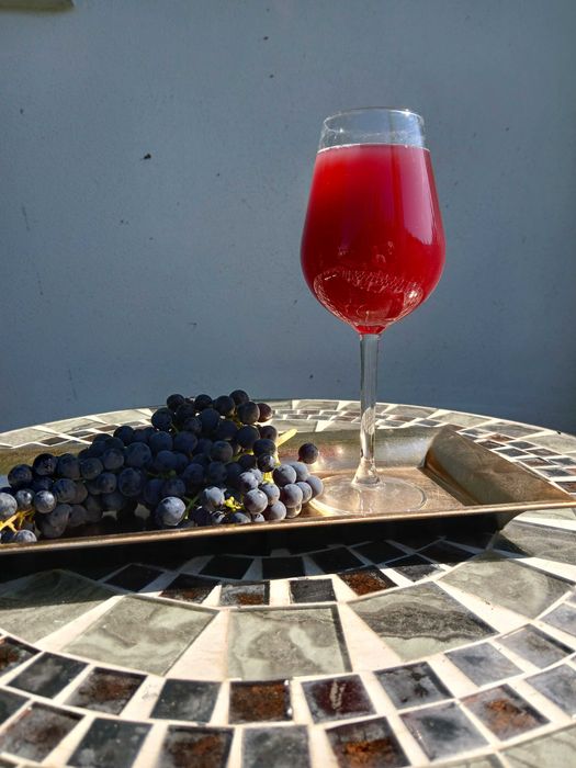 Vănd struguri merlot