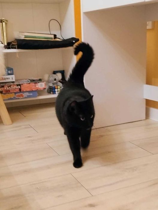 1-годишно момченце от Враца търси ДОМ