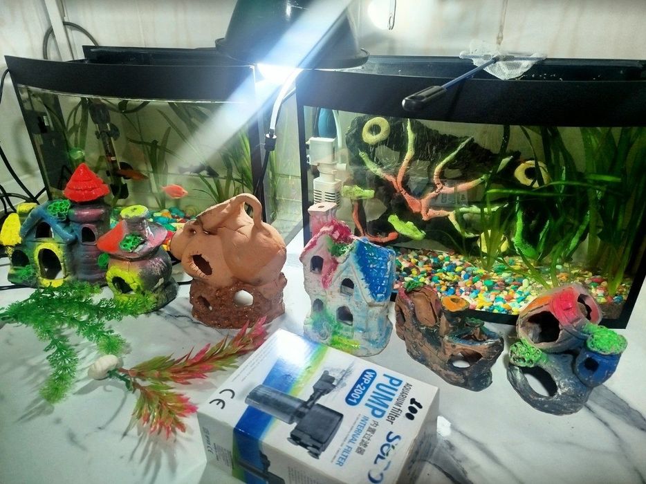 Аквариумы с рыбками