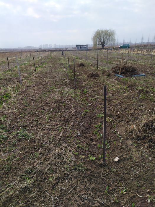 Продам Землю кха