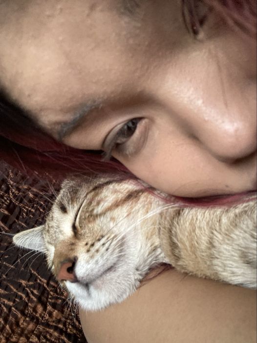 пропал кот,имя тэнни бостандыкский район