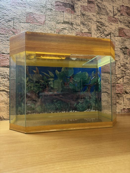 Аквариум 25 литров и принадлежности