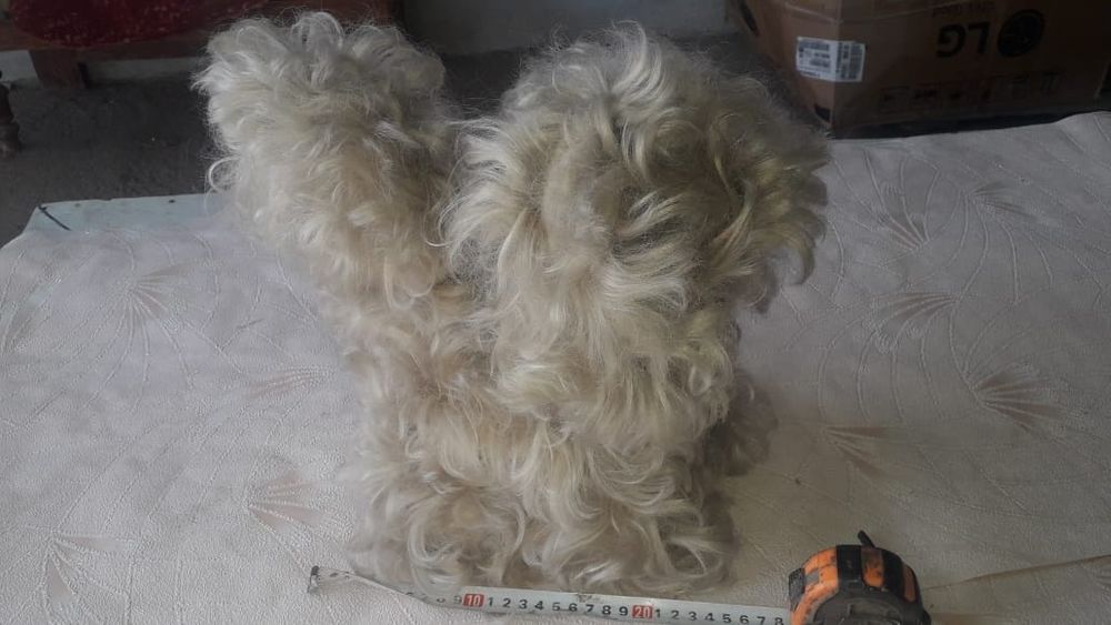 Игрушка СССР собачка продам