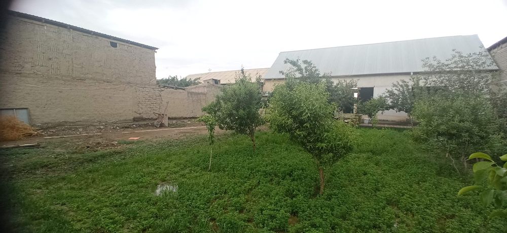 Uy sotiladi ibn sino