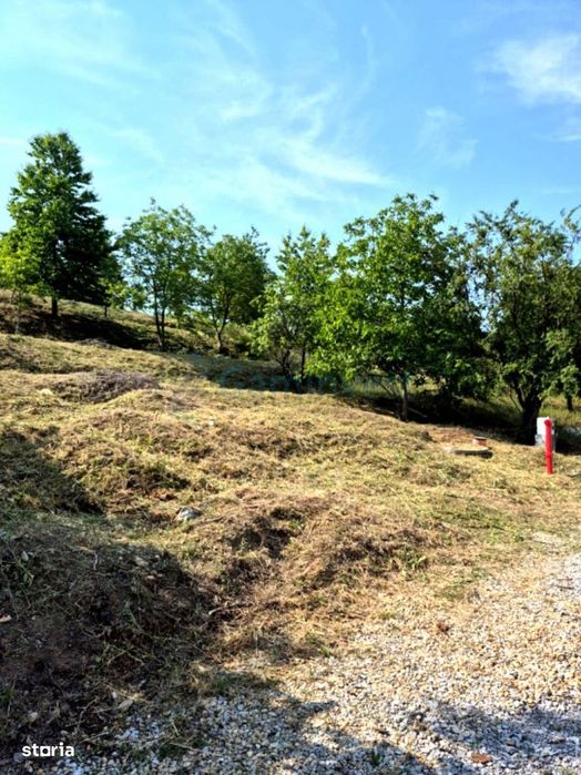 Teren de vanzare cu priveliste, Doja, 810 mp, Oradea, Gaminvest,V1189A
