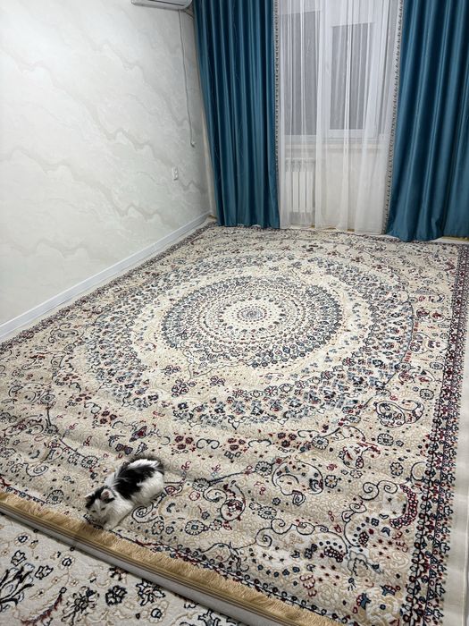 Клем палас…………..