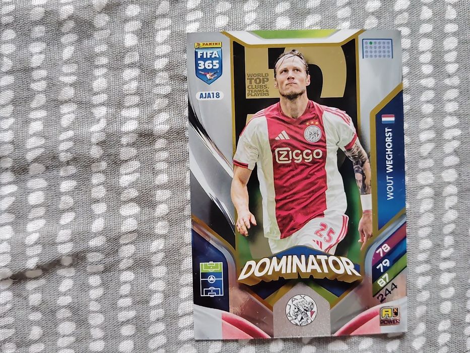 Carduri de colecție cu album