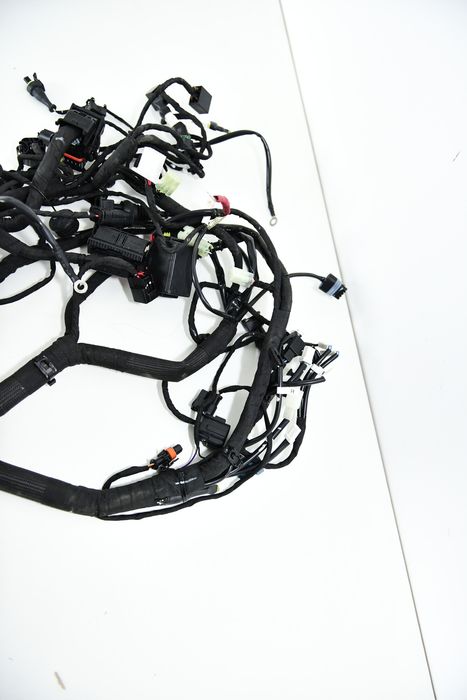 Instalatie Electrica Ducati Scrambler