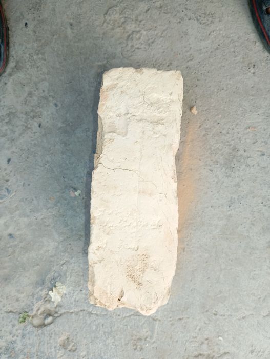 Pishgan gʻisht (палтарашка)