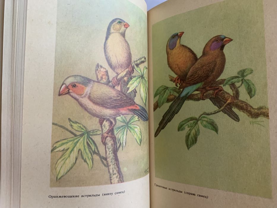 Справочник для любителей птиц