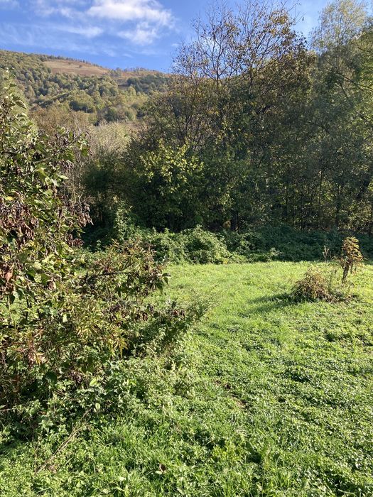 Поземлен имот в регулация