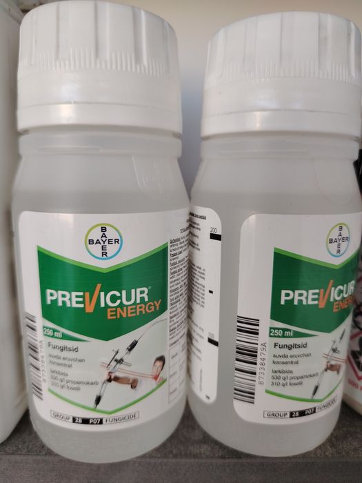 Previkur Bayer germain