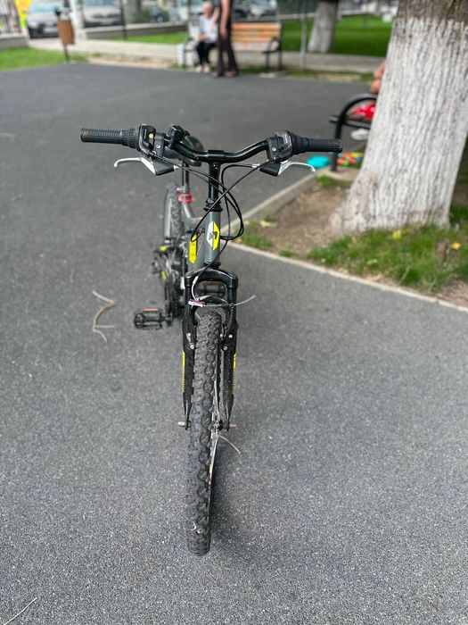 BicicletăDHScopii