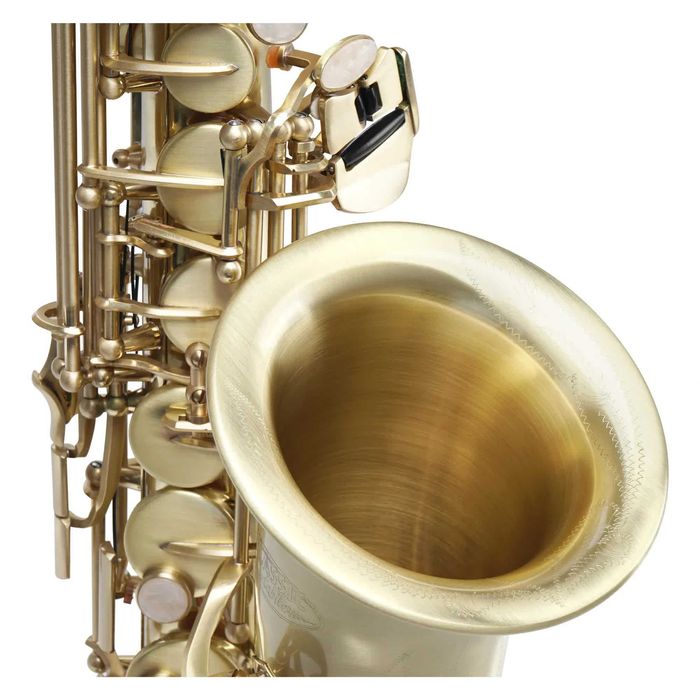 Set Saxofon Alto Classic Cantabile AS-450 Eb Gold Brushed