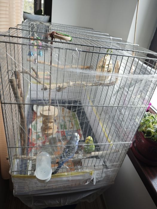 Colivie pentru papagali, peruși, nimfe etc