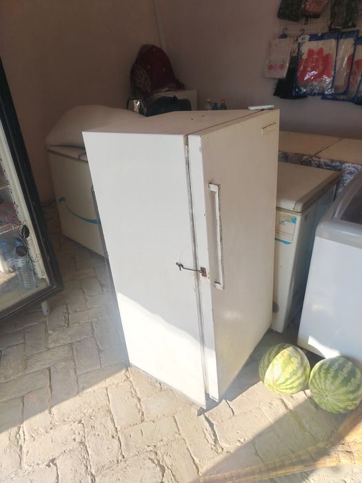 Muzlatgich Xolodelniklar