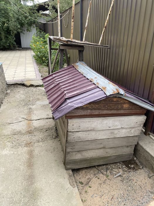 Уличный, деревянный домик для собак