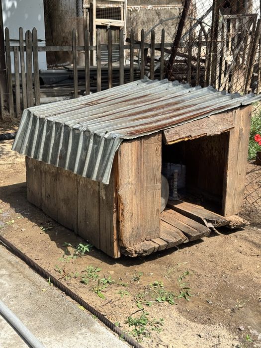 ит үйі / будка для собаки