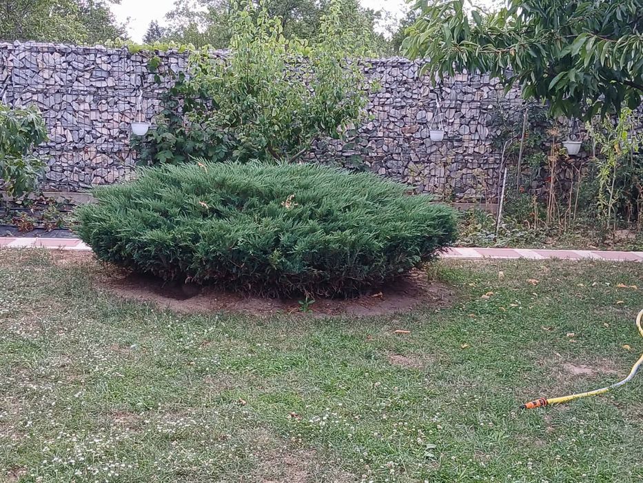 Vând casă în Tg jiu