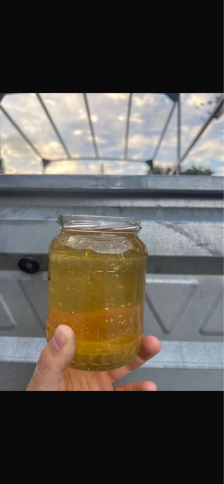 Miere de mana/poliflora/salcam/tei/zmeur