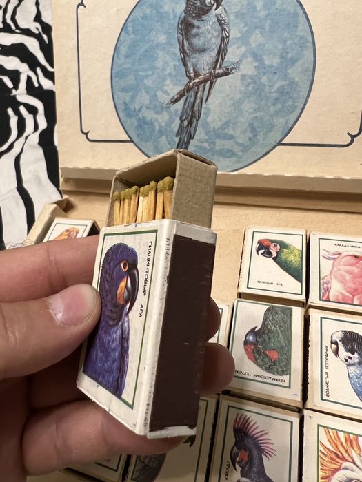 Спички попугаи