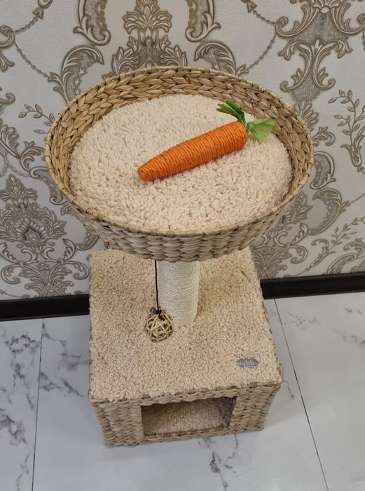 Когтеточка Nobby