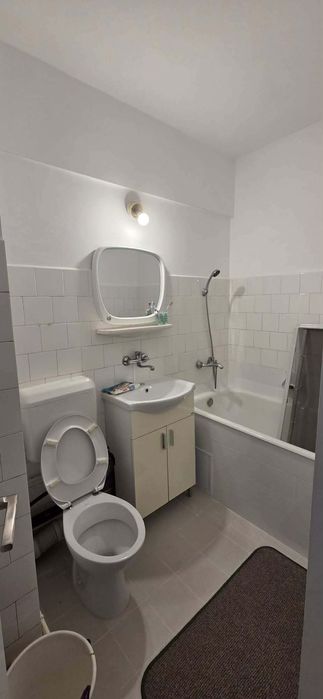 Apartament 1 camera pe strada careiului