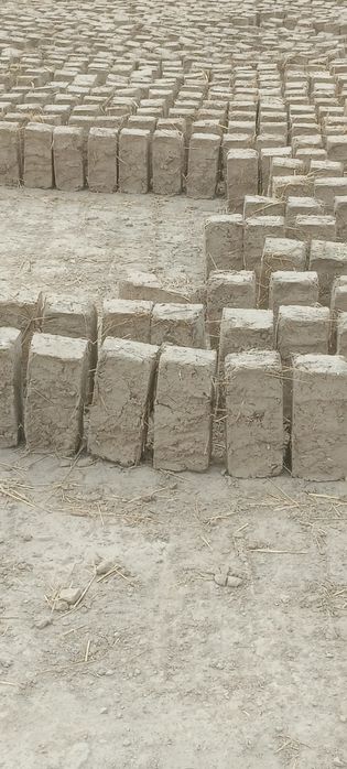 Loy blok Samarqand