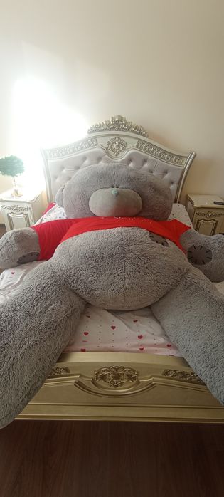 Eng katta arginal teddy ayigʻi sotiladi